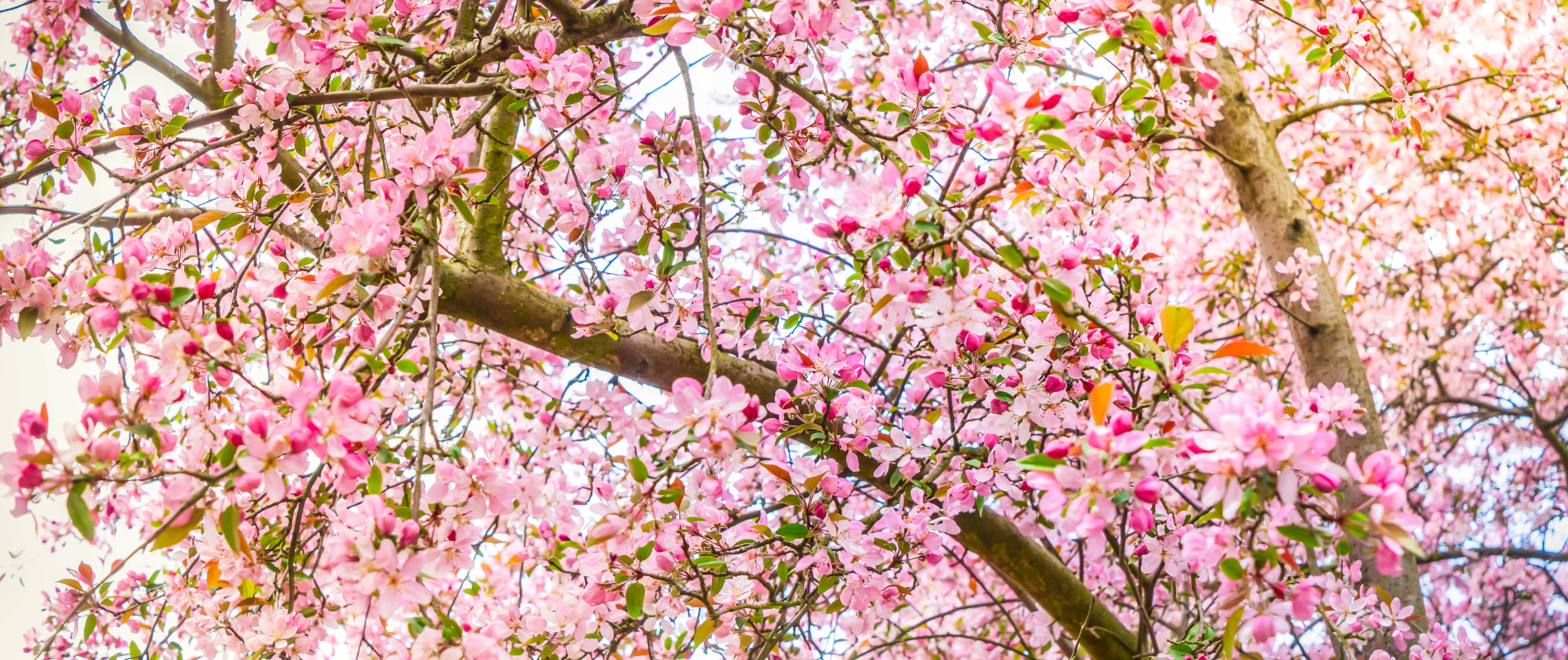 Het perfecte Moederdag cadeau? Iets waar ze élke dag iets aan heeft