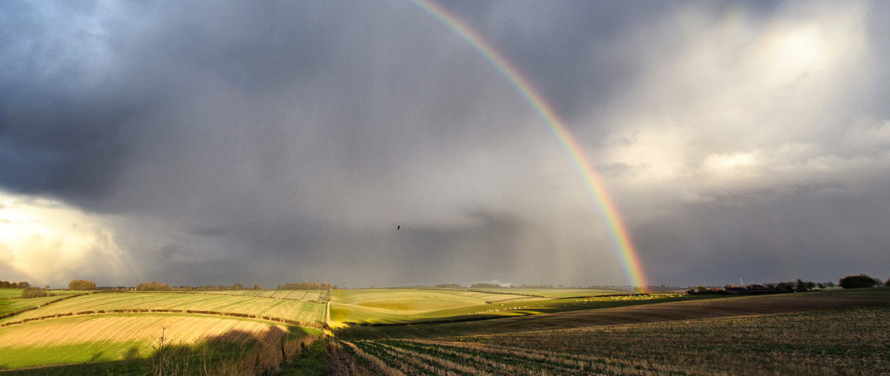 Waarom regen eigenlijk helemaal niet zo vervelend is