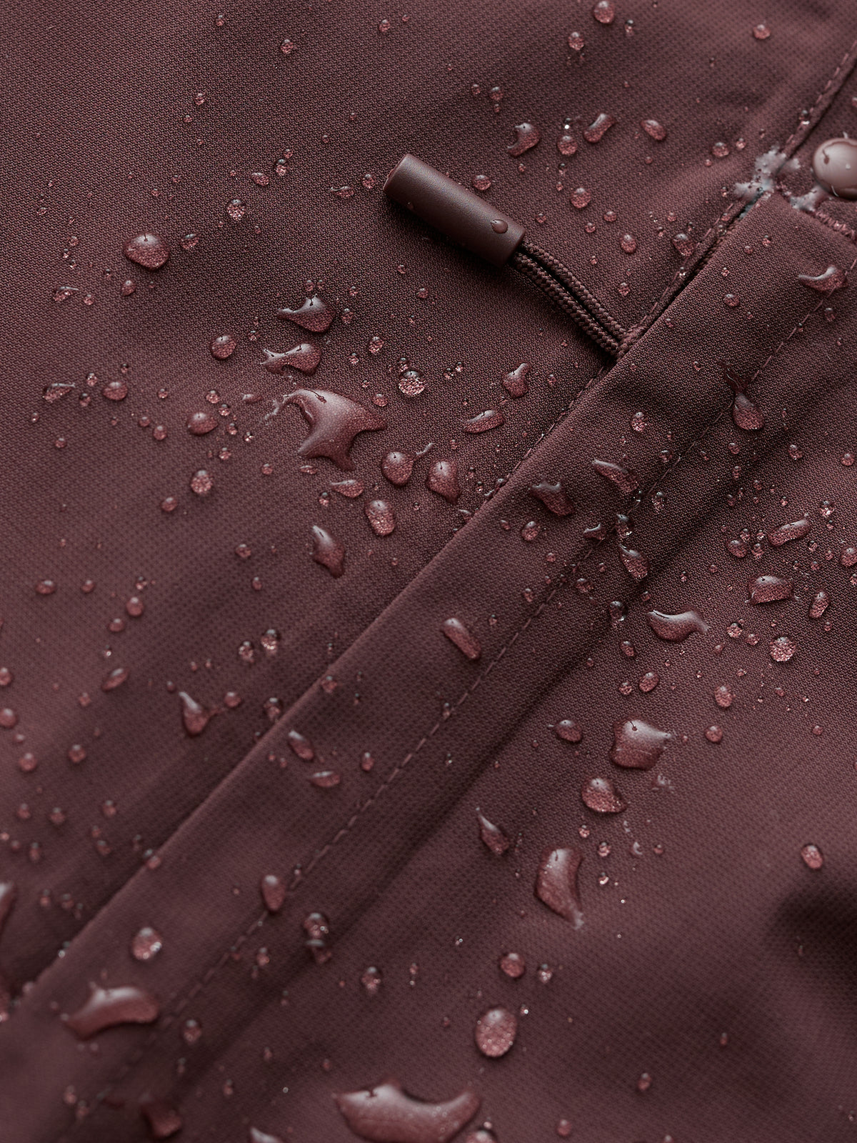 Seasalt Women's Winter Parka Janelle Seedbed