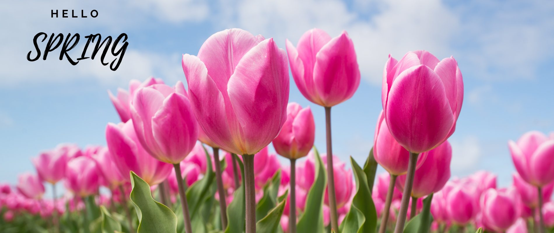 Vrolijke voorjaarsjassen: stralend de lente in met Hipinderegen!