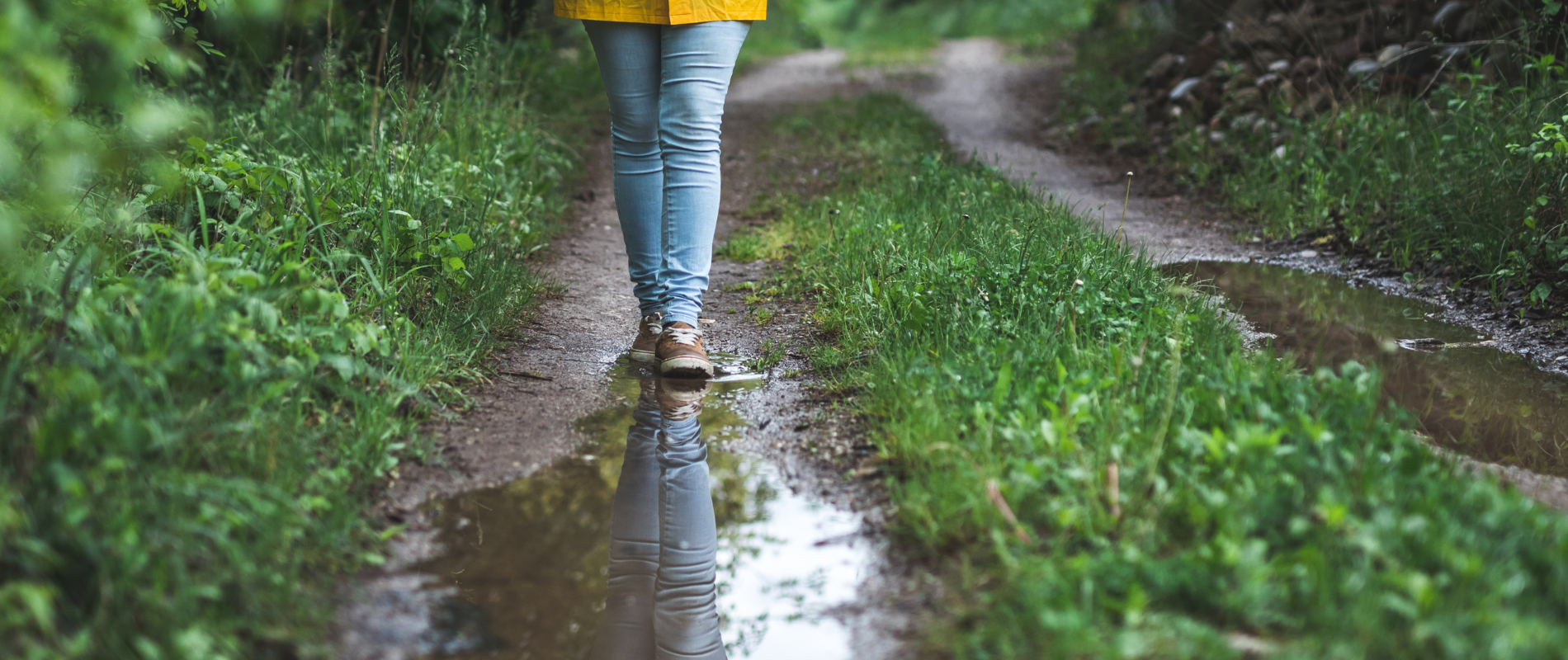Eindelijk regen na weken droogte: wat gebeurt er met de natuur? 🌧️🌿