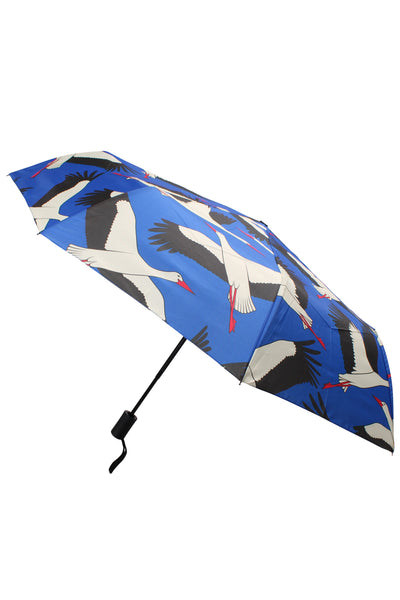 Danumbrella Kleiner Blaustorch