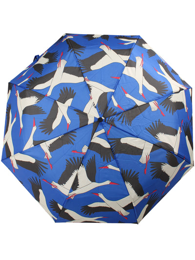 Danumbrella Kleiner Blaustorch