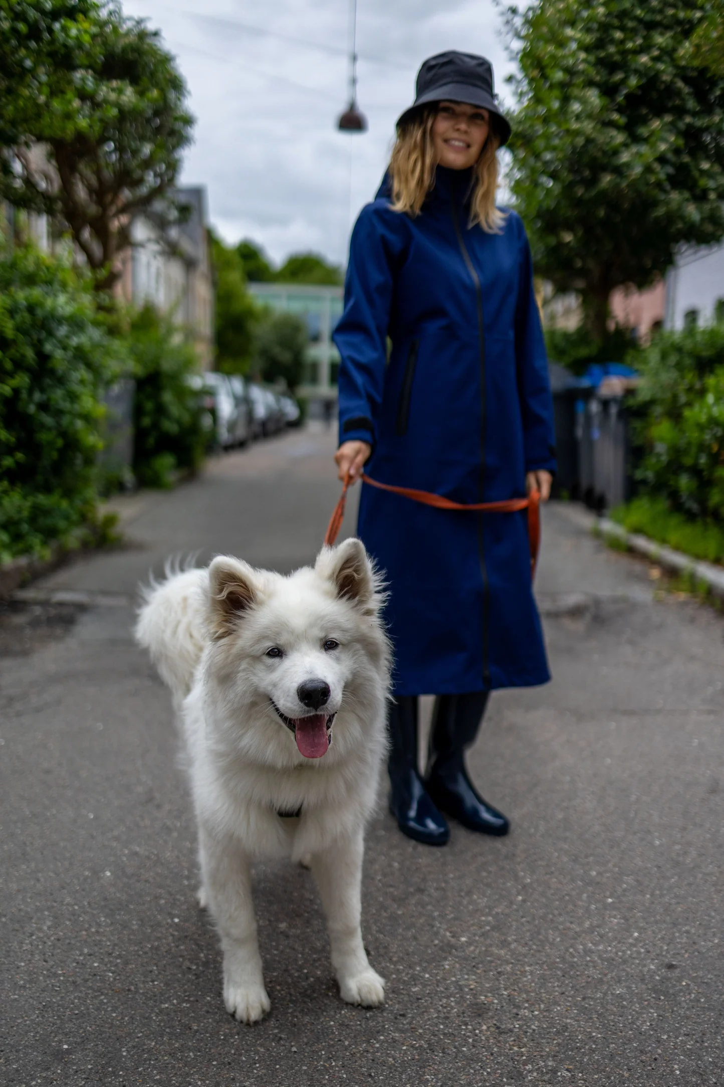 Danefae Premium Regenjas Dames Dogwalker Dark Navy dog