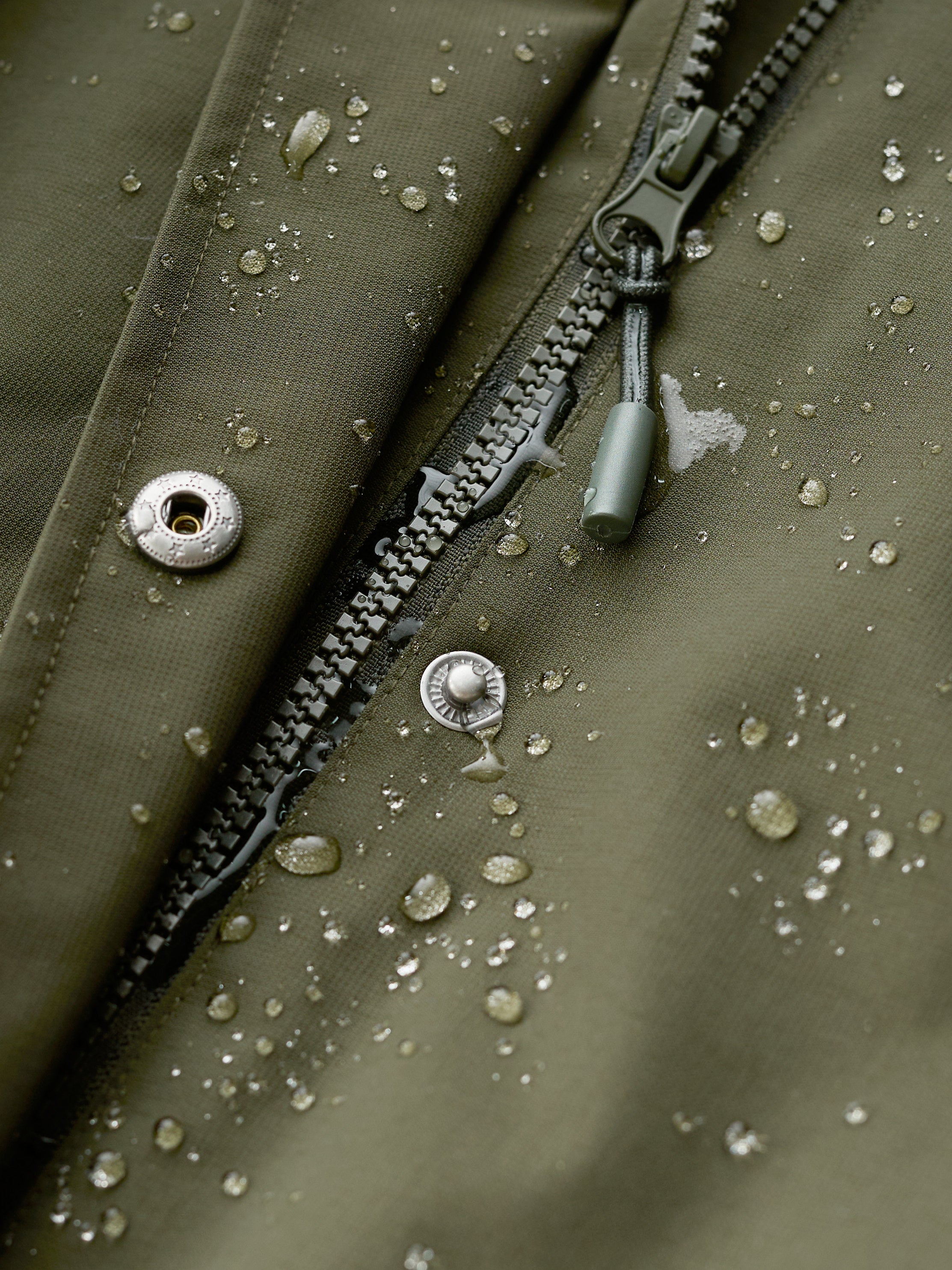 Seasalt Winter Jacket Dames Janelle Woodland